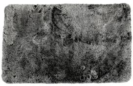 Vonios kilimėlis Sealskin Skin, 50x80 cm, juodas/sidabrinis