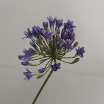 Prabangus Afrikos Agapanthus Šakos Vestuvių Namų Stalo Dekoracija Šilkinės Dirbtinės Gėlės Rudens Kalėdinė Dekoracija flores artificiales violetinė