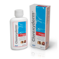 ICF Clorexyderm Shampoo Forte 2% 200 ml – antiseptinis šampūnas