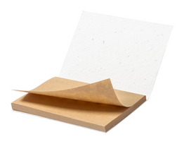 Sėklų popieriaus lipnūs lapeliai Zomek 100×75mm, 50l,  AP722723-00