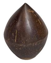Kokoso formos šeikeris Terre 6cm