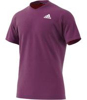Polo marškinėliai vyrams  - Violetinė (S)