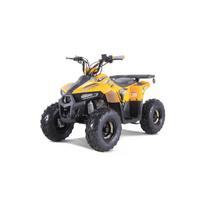 Benzininis keturratis TAO MUDHAWK 110cc