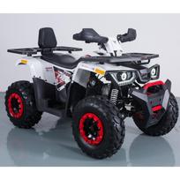 Benzininis Keturratis TAO BRAVES 200cc