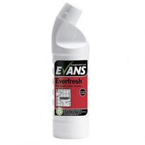EVANS Everfresh prausyklų ir tualetų ploviklis 1 litras, gėlių kvapo