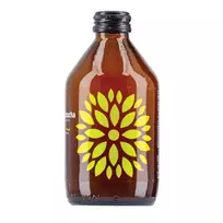 Gaivusis arbatos gėrimas VIGO Kombucha BIO su ciberžole ir imbieru 0,33L but