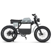APE RYDER Electric bicycle 20 GIBBON Nardo grey