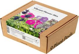 Click  and  Grow Plant Pod Vibrant Flower 9pcs