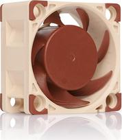 Noctua NF-A4x20 PWM, "Leiser Premium-Lüfter", 4 kontaktų (40x20 mm, Braun)