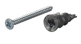 Kaištis su varžtu Essve Driva TF27, 4.5 mm x 50 mm, 4 vnt.