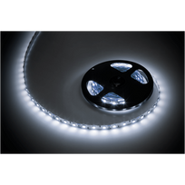 LED juosta 5m (300x5050) šaltai baltas 12V