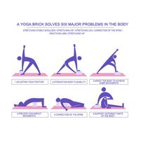 Nauji 2 vnt. blokinis putplasčio plytų tempimo pagalbininkas sporto salės pratimams, fitnesui. Tinka jogai, pilatesui