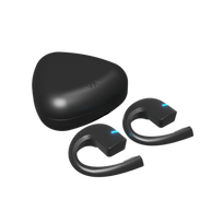 Vasco Translator E1