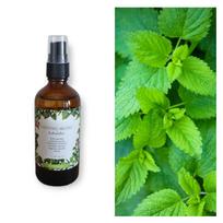 VAISTINIŲ MELISŲ HIDROLATAS 100ml