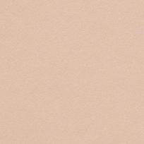 Dekoratyvinis popierius Curious Metallics Nude, A4, 120g, 50 lapų