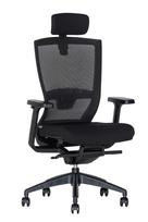Ergonominė kėdė Arholma HRU
