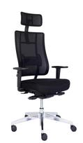 Ergonominė kėdė X- trans