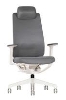 Ergonominė kėdė Solberg white HRU