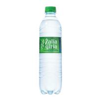 Šaltinio vanduo Žalia Giria, gazuotas, 0.5l (D)