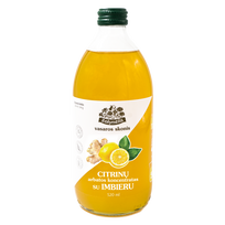Citrinų arbatos koncentratas su imbieru Žolynėlis 520 ml
