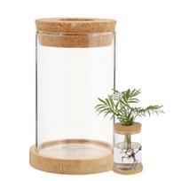 Savaime laistantis gėlių vazonas - 10.2 cm - Baltas - Automatinis augalų laistymas