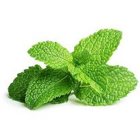 Click & Grow Smart Garden refill Peppermint 3pcs SGR22X3