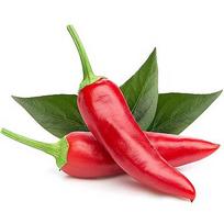 Click & Grow Smart Garden refill Chili Pepper 3pcs SGR6X3