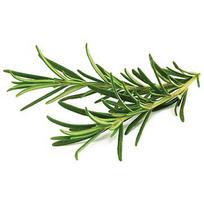 Click & Grow Smart Garden refill Rosemary 3pcs SGR51X3