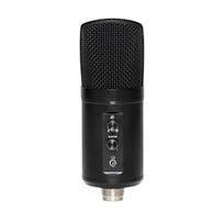 Dvigubas kondensatorinis USB mikrofonas Stagg SUSM60D