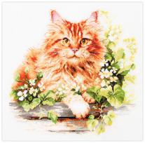 Siuvinėjimo rinkinys Magic Needle "The Ginger Cat" 70-22