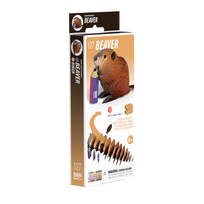 EUGY 3D kartoninis modelis „Bebras“
