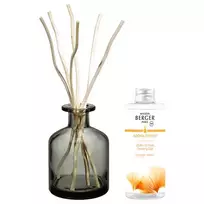 Maison Berger Paris - Gift set Aroma Energy diffuser gray + refill Fresh tonic 200 ml
