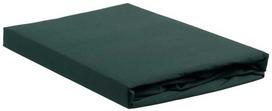 Ambiante Cotton Uni HL Dark Žalias paklodė su guma Čiužinio dydis - 200x200 cm
