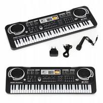 Vaikiškas klavišinis pianinas su mikrofonu Ecotoys