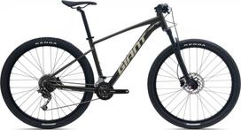 Dviratis Giant Talon 29 2-GE / Phantom Green