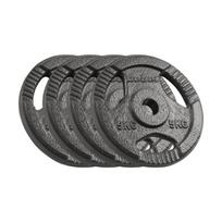 Disko svorių rinkinys Rebel Active, 4x5 kg