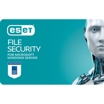 ESET Server Security nauja 2 metų 1 vartotojo elektroninė licencija