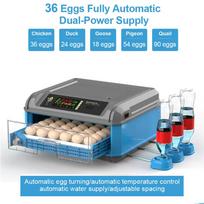 36 Eggs Dviejų maitinimo šaltinių inkubatorius, visiškai automatinis skaitmeninis kiaušinių inkubatorius, buitinis brooderis, vištienos paukščių inkubatorius