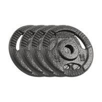 Disko svorių rinkinys Rebel Active, 4x2.5 kg