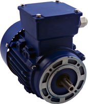 Variklis 0.55-700-140/24-G