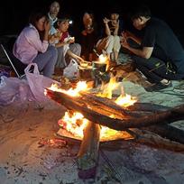 Stainless Steel Mesh Fire Pits Fireplace Folding Campfire Stand Portable Fire Pit for Camping Outdoor Patio Backyard and Garden CHINA