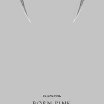 BLACKPINK - BLACKPINK 2nd ALBUM [BORN PINK] BOX SET [GRAY ver.]