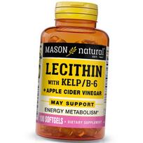 Lecitino kompleksas, lecitinas su rudadumbliais / vitaminu B 6 Plus sidro actu, Mason Natural 100 gelio dangteliai (72529014) 100softgels