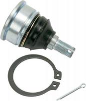 Šarnyras apatinis Honda TRX 250 42-1014