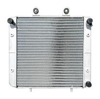 Radiatorius Polaris Sportsman 400 500 570 1240520