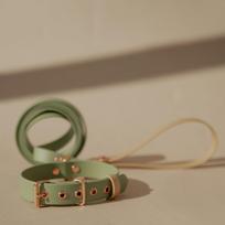 Biotano komplektas | OLIVE