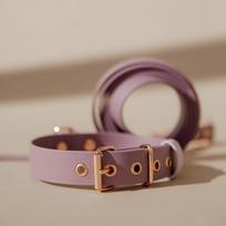 Biotano komplektas | LAVENDER