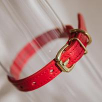 Antkaklis RUBY