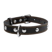 Odinis šunų antkaklis „Collar“, plotis 20 mm, ilgis 32–40 cm, juodas