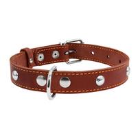 Odinis šunų antkaklis „Collar“, plotis 25 mm, ilgis 38–50 cm, rudas